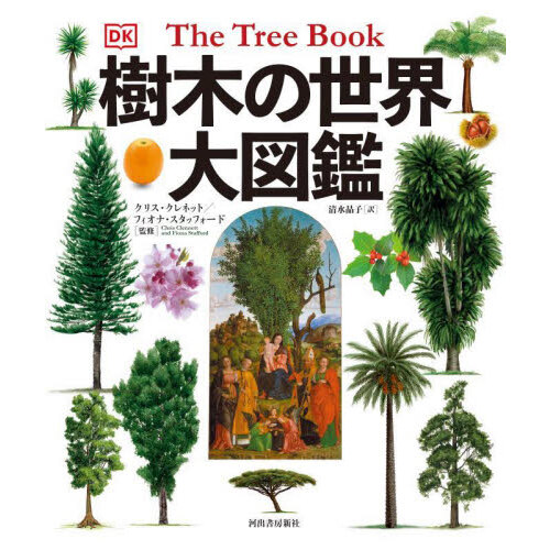 日本の野生植物 １ 改訂新版 フィールド版 ソテツ科～コミカンソウ科