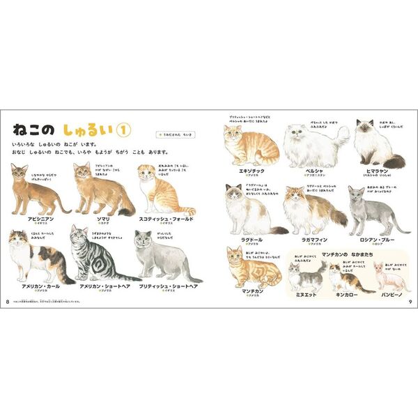 ねこのずかん 家ねこと野生ねこ 通販|セブンネットショッピング