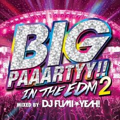 BIG PAAARTYY!! IN THE EDM 2 mixed by DJ FUMI★YEAH！
