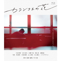 カランコエの花（Ｂｌｕ－ｒａｙ　Ｄｉｓｃ）