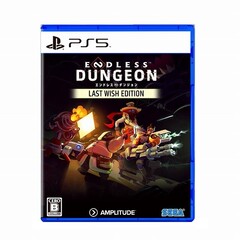 PS5　ENDLESS Dungeon