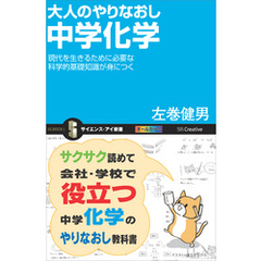 大人のやりなおし中学化学　現代を生きるために必要な科学的基礎知識が身につく