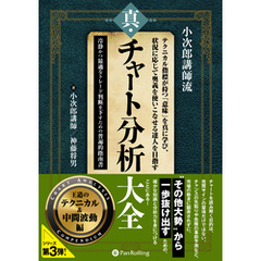 テクニカル指標が持つ「意味」を真に学び、状況に応じて奥義を使いこなせる達人を目指す真・チャート分析大全 ～王道のテクニカル＆中間波動編～