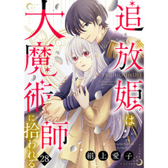 追放姫は大魔術師に拾われる（２８）