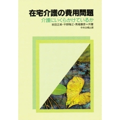 在宅介護の費用問題　介護にいくらかけているか