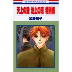 天上の愛地上の恋　特別編