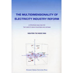ＴＨＥ　ＭＵＬＴＩＤＩＭＥＮＳＩＯＮＡＬＩＴＹ　ＯＦ　ＥＬＥＣＴＲＩＣＩＴＹ　ＩＮＤＵＳＴＲＹ　ＲＥＦＯＲＭ　Ａ　ＳＴＲＡＴＥＧＩＣ　ＡＮＡＬＹＳＩＳ　ＦＯＲ　ＴＨＥ　ＣＡＳＥ　ＯＦ　ＡＳＩＡＮ　ＣＯＵＮＴＲＩＥＳ　ＡＮＤ　ＶＩＥＴＮＡＭ