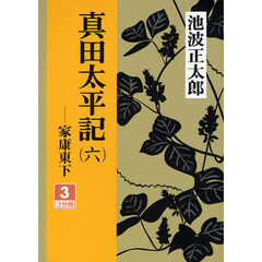 真田太平記　家康東下　６－３