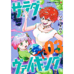 サラダ・ヴァイキング　０３