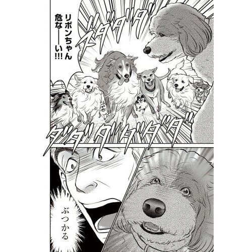 DOG SIGNAL 8 通販｜セブンネットショッピング
