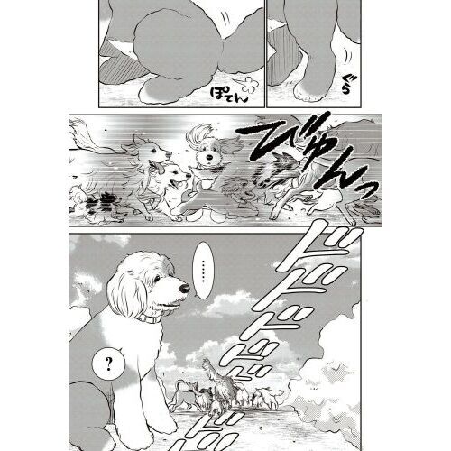 DOG SIGNAL 8 通販｜セブンネットショッピング
