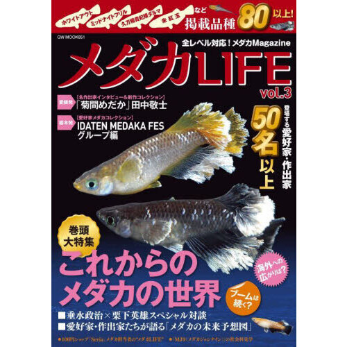 メダカ プールのメダカ400匹位 商談中 - その他