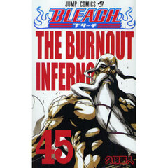 ＢＬＥＡＣＨ　４５　ＴＨＥ　ＢＵＲＮＯＵＴ　ＩＮＦＥＲＮＯ