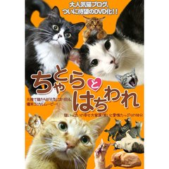 ちゃとらとはちわれ（ＤＶＤ）