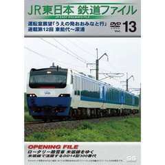 JR東日本鉄道ファイル Vol.13 運転室展望「うえの発おおみなと行」連載第12回 東能代～深浦（ＤＶＤ）