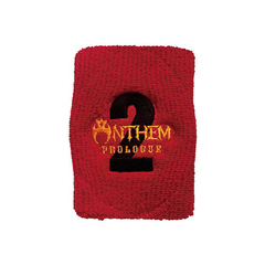 【ANTHEM】35th Anniversary Prologue 2 リストバンド(ロング)