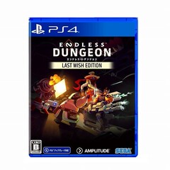 PS4　ENDLESS Dungeon