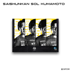 ストリートファイターリーグ: Pro-JP 2025 オリジナルメタルディスプレイ(Saishunkan Sol 熊本)