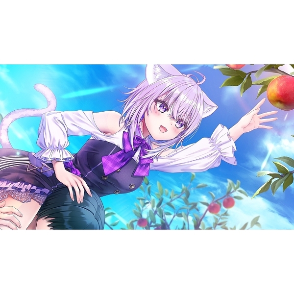 おかゆ CD12枚セット Nintendo Switch おかゆにゅ～～む！入門セット（お買い得商品／限定