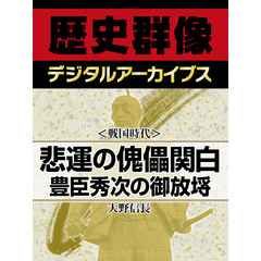 ＜戦国時代＞悲運の傀儡関白　豊臣秀次の御放埓