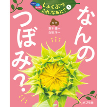 つぼみ・たね・はっぱ・・・　しょくぶつ　これ、なあに？　1　なんの　つぼみ？