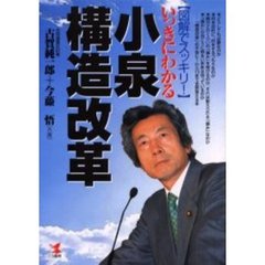いっきにわかる小泉構造改革　図解でスッキリ！