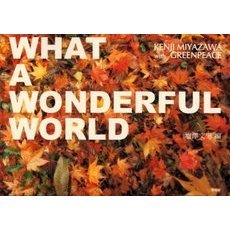 Ｗｈａｔ　ａ　ｗｏｎｄｅｒｆｕｌ　ｗｏｒｌｄ