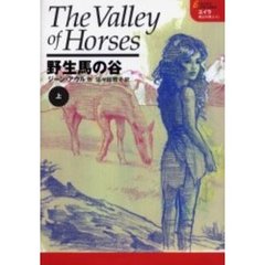 野生馬の谷　上