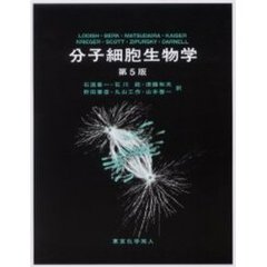 分子細胞生物学　第５版