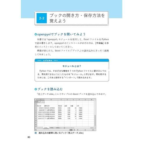 ＰｙｔｈｏｎでＥｘｃｅｌ、メール、Ｗｅｂを自動化する本　いつもの仕事に即応用できる「新しい仕事術」