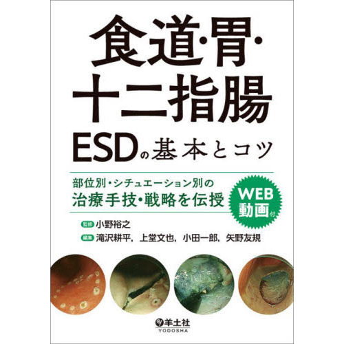 日本製】 Dr.平澤の上部消化管内視鏡診断セミナー 可愛いクリスマス