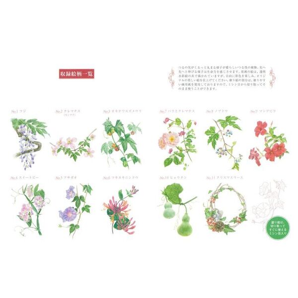 やさしい大人の塗り絵 塗りやすい絵で、はじめての人にも最適 身近な ..., 画像サイズ:600x600