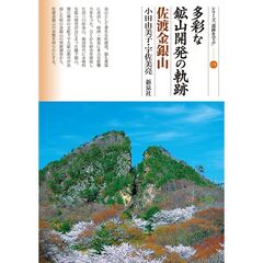 多彩な鉱山開発の軌跡　佐渡金銀山