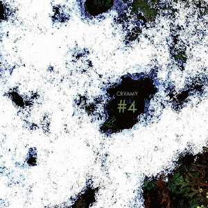 ֥ͥåȥåԥ󥰤㤨֡4פβǤʤ2,200ߤˤʤޤ