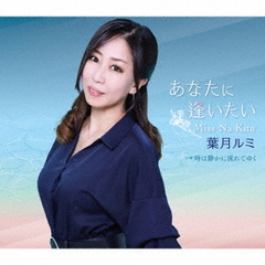 あなたに逢いたい～Miss　Na　Kita