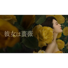 彼女は薔薇　DVD－BOX3（ＤＶＤ）