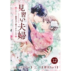 comic Berry’s見習い夫婦～エリート御曹司に娶られました～12巻