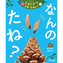 つぼみ・たね・はっぱ・・・　しょくぶつ　これ、なあに？　2　なんの　たね？