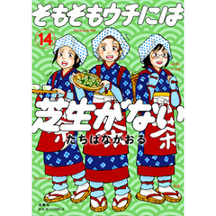 そもそもウチには芝生がない 14