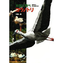 大空に飛べコウノトリ　豊岡市の野生復帰作戦