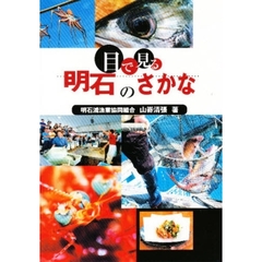 目で見る明石のさかな