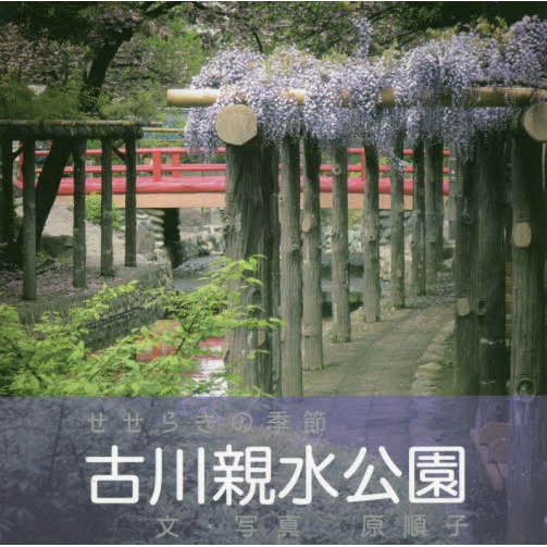 ֥ͥåȥåԥ󥰤㤨ָƿࡡ餮εפβǤʤ1,100ߤˤʤޤ