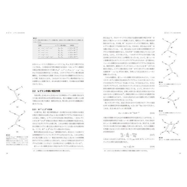 マーティン／ショー素粒子物理学