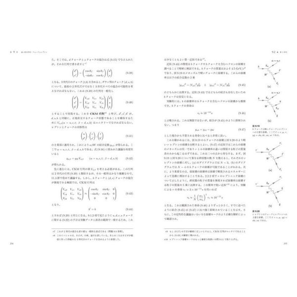 マーティン／ショー素粒子物理学