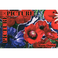 ＰＩＣＴＵＲＥ×ＰＩＣＴＵＲＥ　ＣＨＡＯＳ　ＧＡＲＤＥＮ