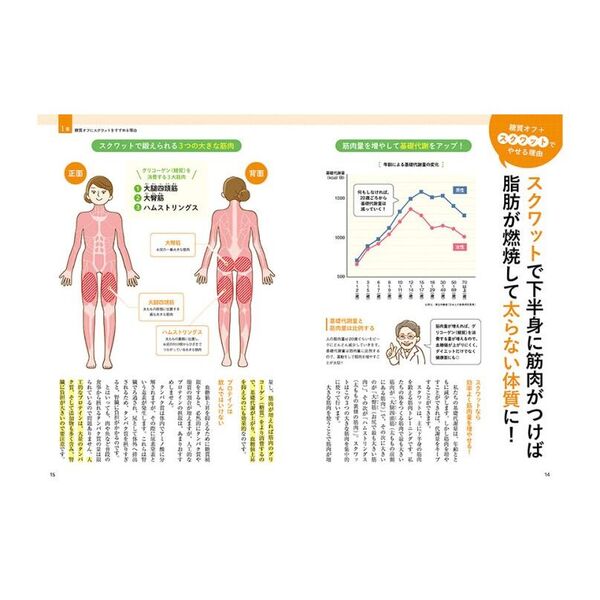 ドクターズスクワット 医者が考案した「30秒で運動不足を解消する方法