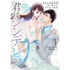 君はシンデレラ　孤高な御曹司が絶え間なく愛を注ぐ理由　３