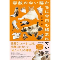 容赦のない猫たちに今日も絡まれています