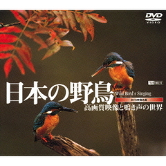 DVD映像名鑑日本の野鳥／高画質映像と鳴き声の世界（ＤＶＤ）