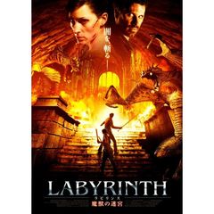 ラビリンス　魔獣の迷宮（ＤＶＤ）